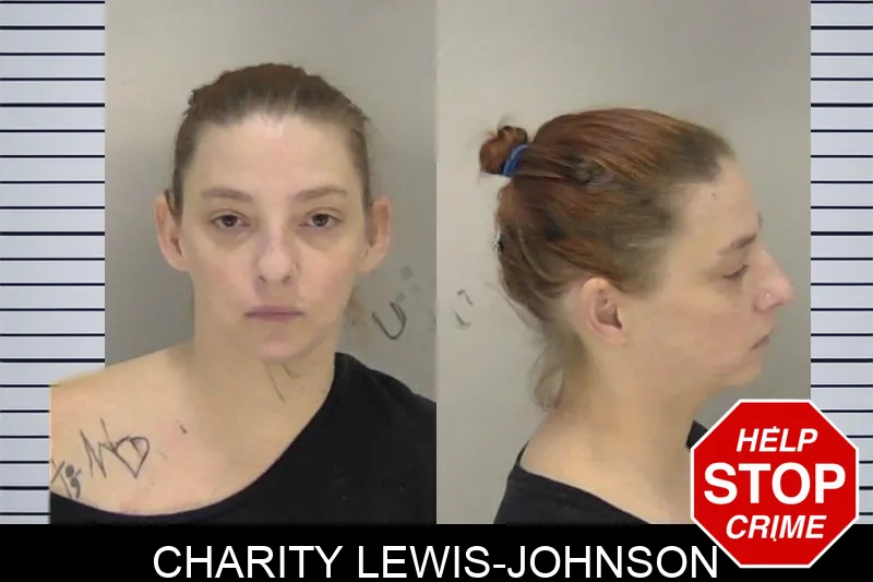 Charity Lewis-Johnson mugshot