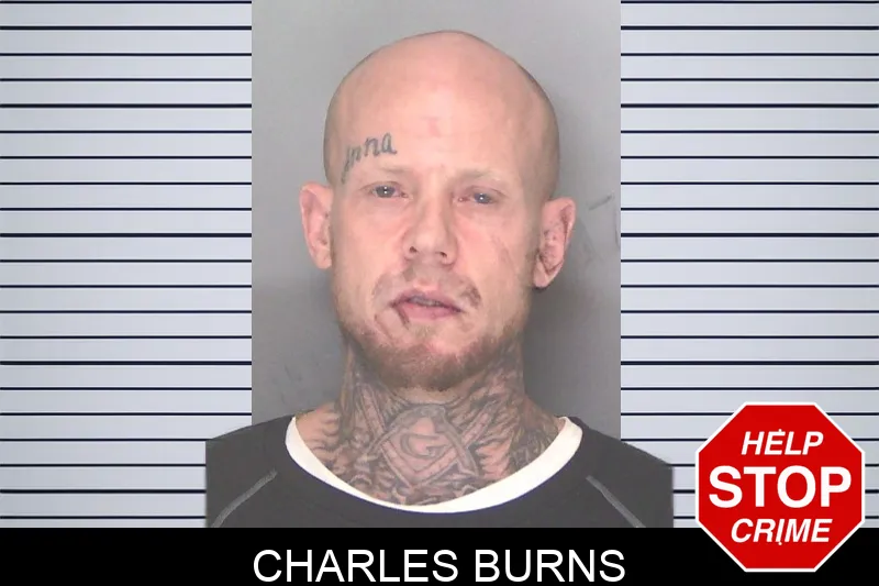Charles Burns mugshot – Douglas County , Georgia Charles Burns mugshot