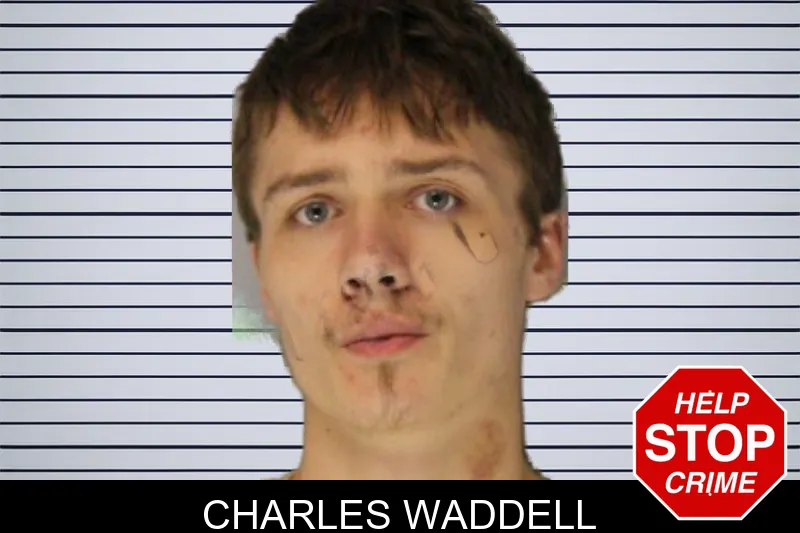 Charles Waddell mugshot