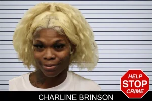 Charline Brinson mugshot