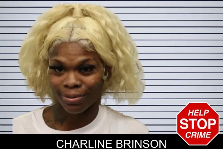 Charline Brinson mugshot – Chatham County , Georgia Charline Brinson
