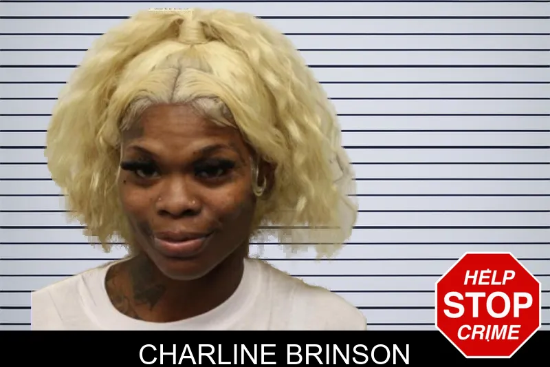 Charline Brinson mugshot