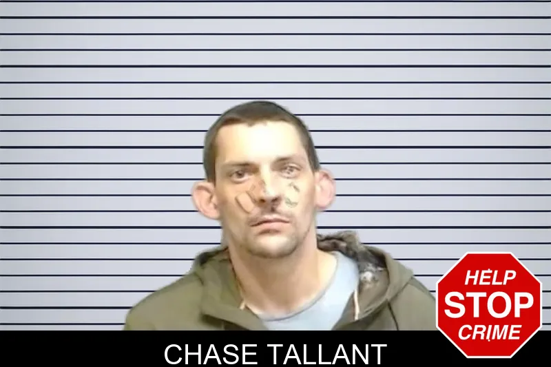 Chase Tallant mugshot