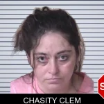 Chasity Clem mugshot