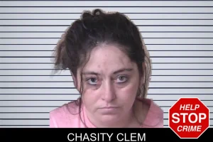 Chasity Clem mugshot