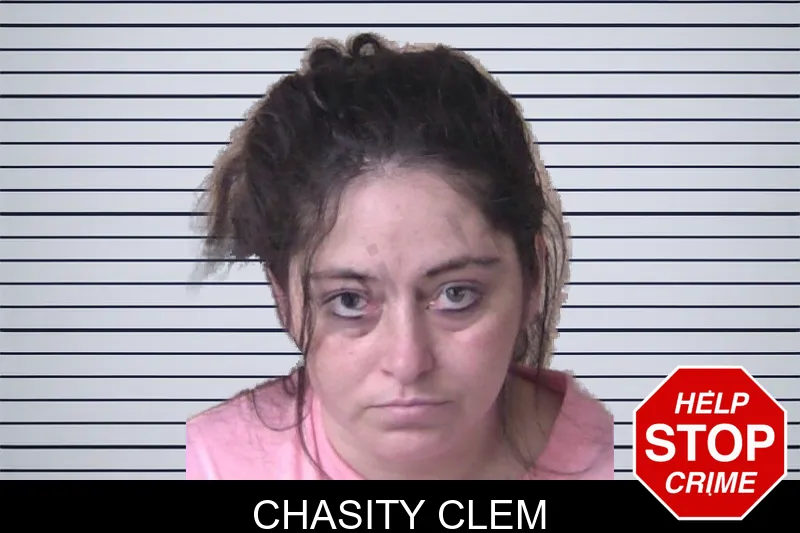 Chasity Clem mugshot