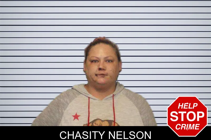 Chasity Nelson mugshot – Lumpkin County , Georgia Chasity Nelson mugshot