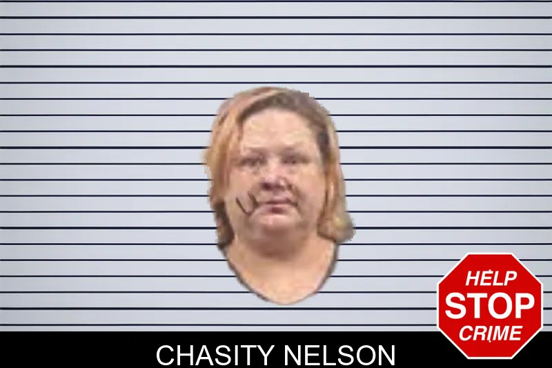 Chasity Nelson mugshot