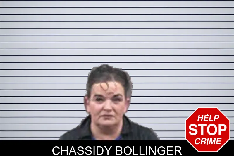 Chassidy Bollinger mugshot