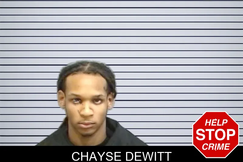 Chayse Dewitt mugshot