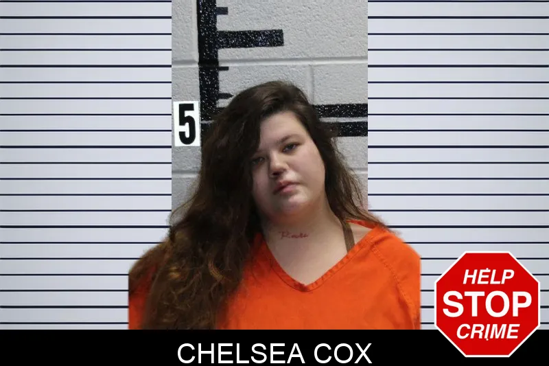 Chelsea Cox mugshot – Murray County , Georgia Chelsea Cox mugshot