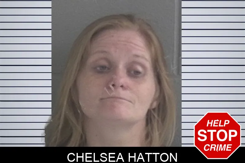 Chelsea Hatton mugshot