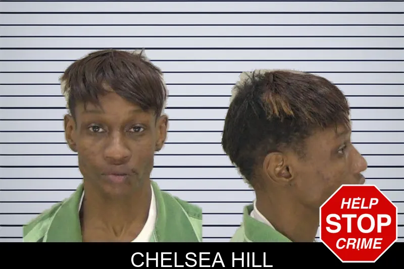Chelsea Hill mugshot