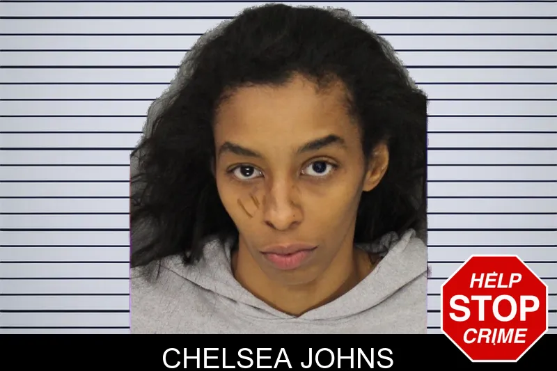 Chelsea Johns mugshot