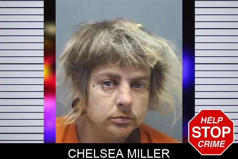Chelsea Miller mugshot – Cherokee County , Georgia Chelsea Miller mugshot