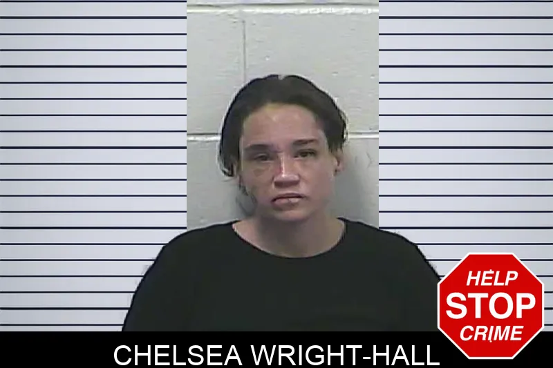 Chelsea Wright-Hall mugshot – Dawson County , Georgia Chelsea Wright-Hall mugshot