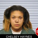 Chelsey Haynes mugshot
