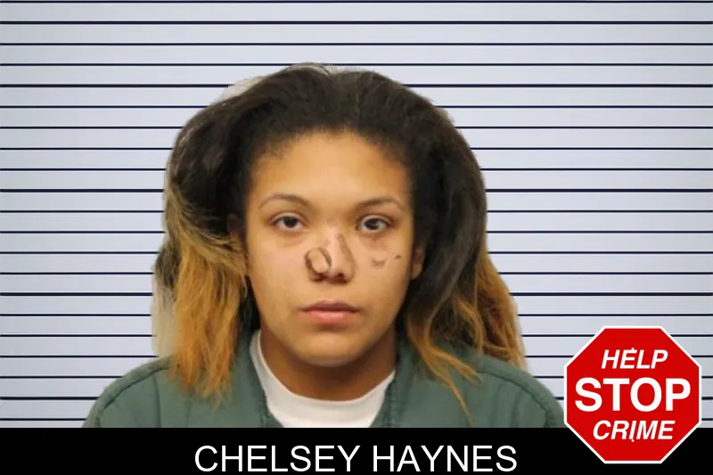 Chelsey Haynes mugshot