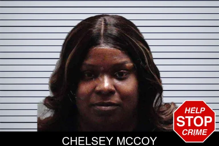 Chelsey McCoy mugshot – Burke County , Georgia Chelsey McCoy