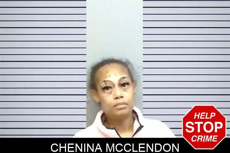 Chenina McClendon mugshot – Fulton County , Georgia Chenina McClendon mugshot