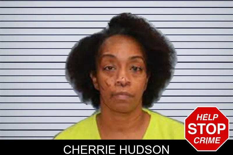 Cherrie Hudson mugshot – Lee County , Georgia Cherrie Hudson mugshot