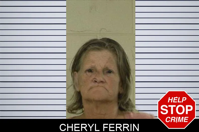 Cheryl Ferrin mugshot – Liberty County , Georgia Cheryl Ferrin mugshot