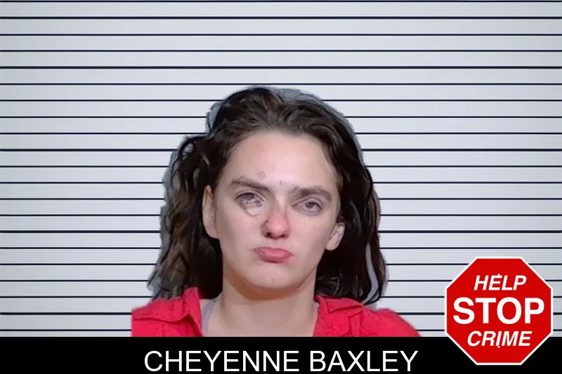 Cheyenne Baxley mugshot – Glynn County , Georgia Cheyenne Baxley mugshot