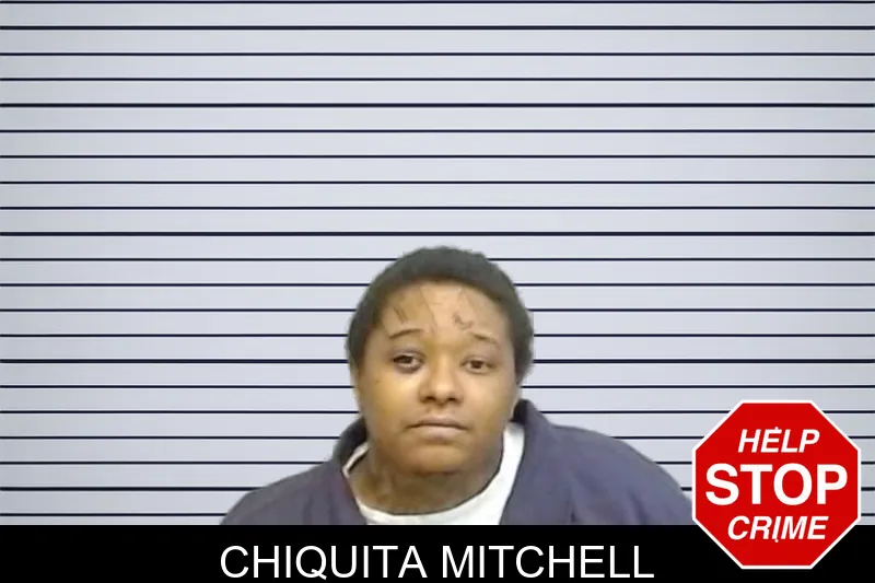 Chiquita Mitchell mugshot