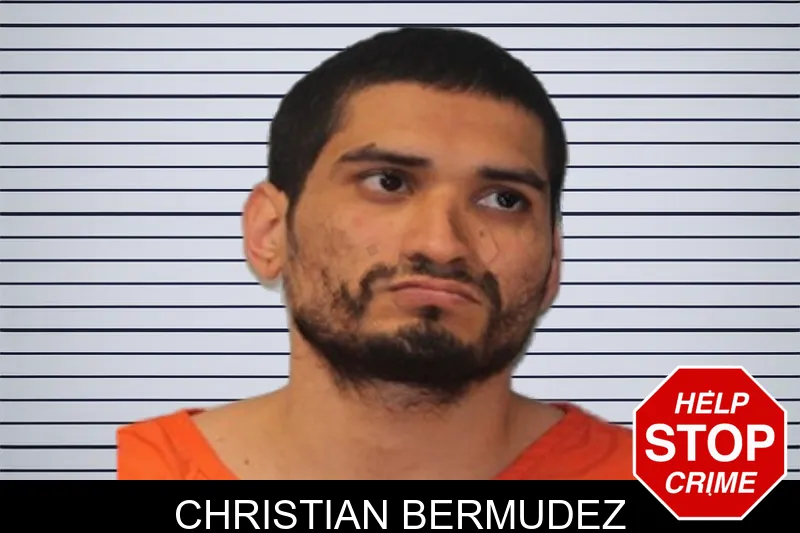 Christian Bermudez mugshot