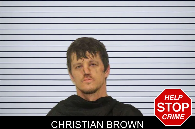 Christian Brown mugshot