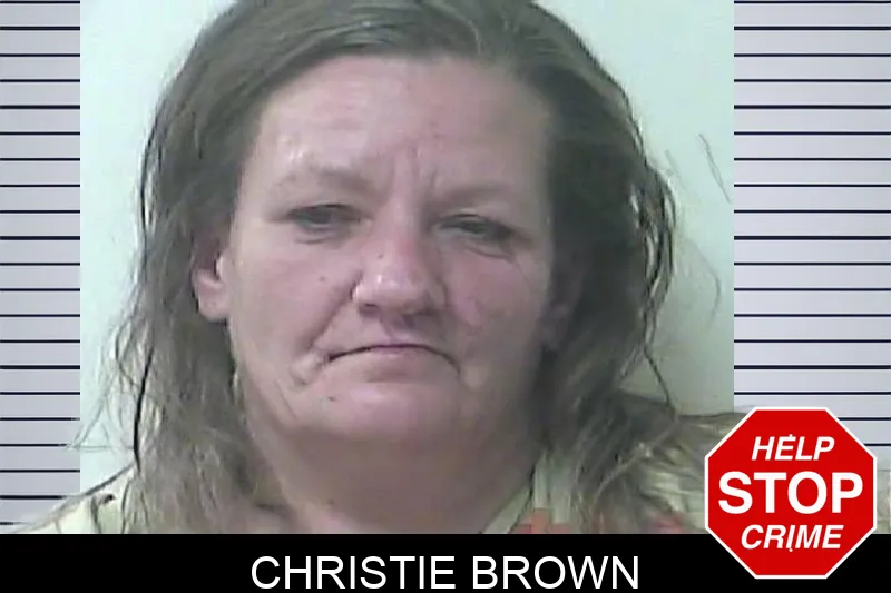 Christie Brown mugshot