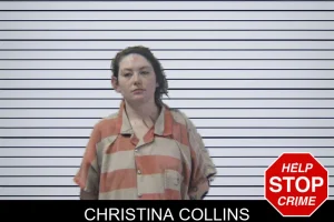 Christina Collins mugshot