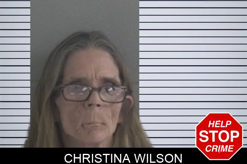 Christina Wilson mugshot