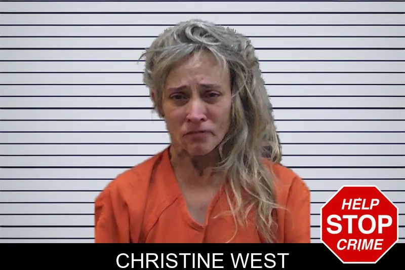 Christine West mugshot