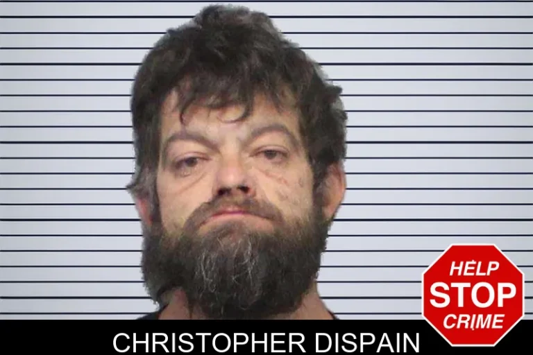 Christopher Dispain mugshot – White County , Georgia Christopher Dispain