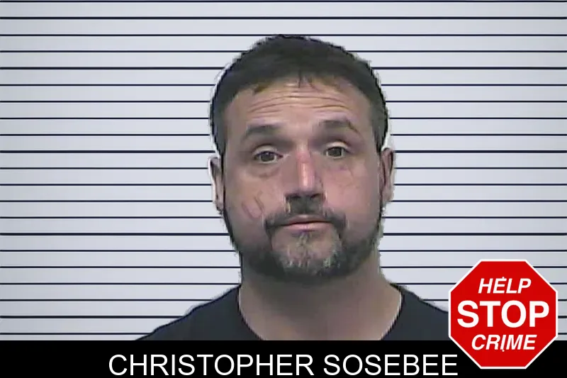 Christopher Sosebee mugshot