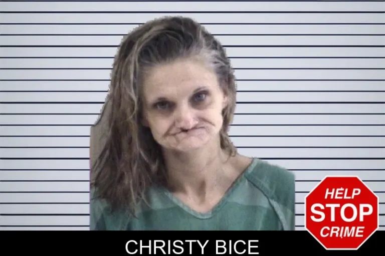 Christy Bice mugshot – Whitfield County , Georgia Christy Bice