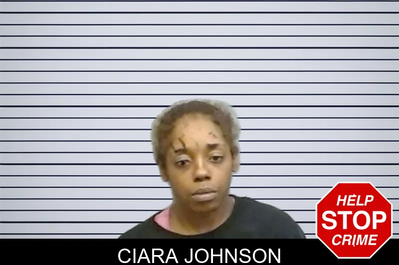 Ciara Johnson mugshot