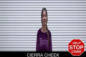 Cierra Cheek mugshot