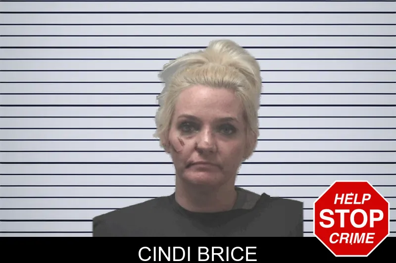 Cindi Brice mugshot