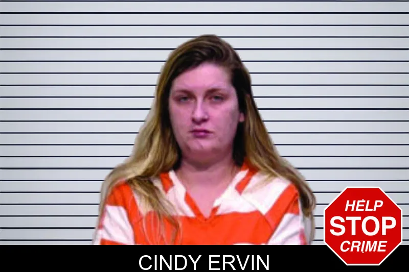 Cindy Ervin mugshot