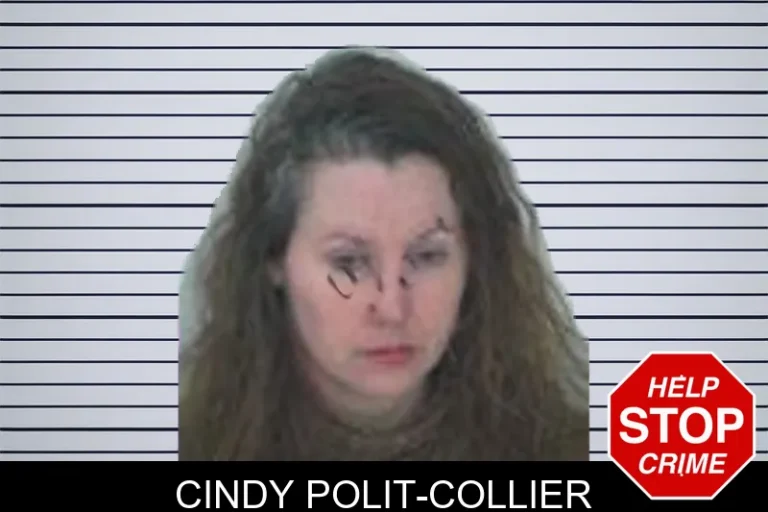 Cindy Polit-Collier mugshot – Fayette County , Georgia Cindy Polit-Collier