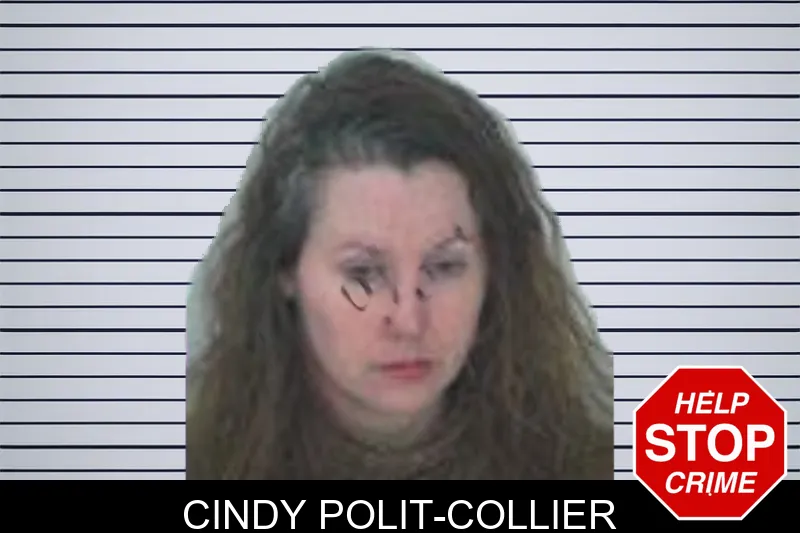 Cindy Polit-Collier mugshot – Fayette County , Georgia Cindy Polit-Collier mugshot