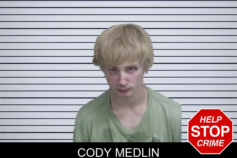 Cody Medlin mugshot – Wayne County , Georgia Cody Medlin mugshot
