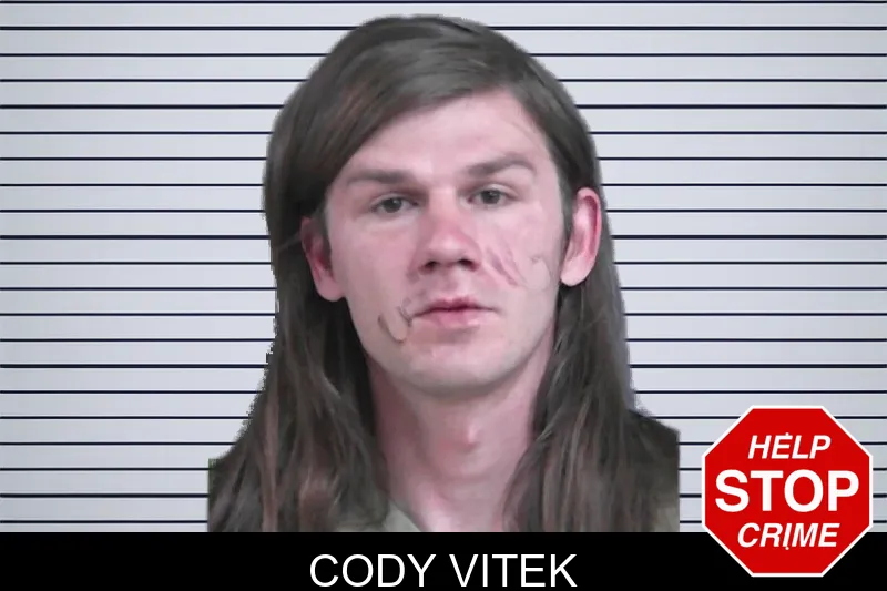 Cody Vitek mugshot