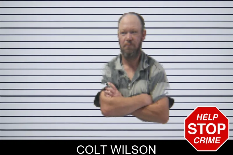 Colt Wilson mugshot – Stephens County , Georgia Colt Wilson mugshot