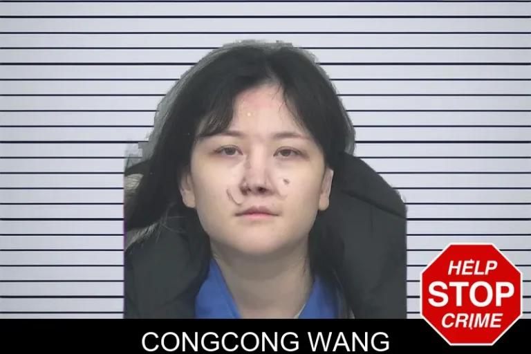 Congcong Wang mugshot – Gwinnett County , Georgia Congcong Wang