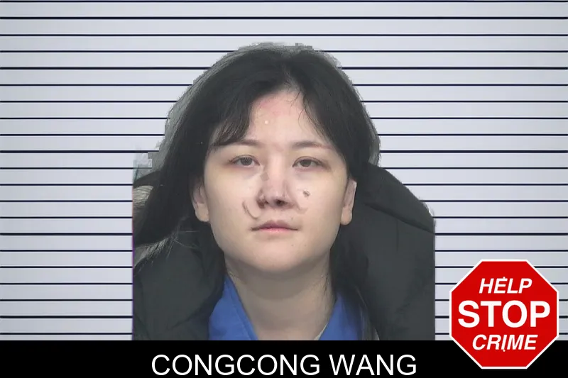 Congcong Wang mugshot