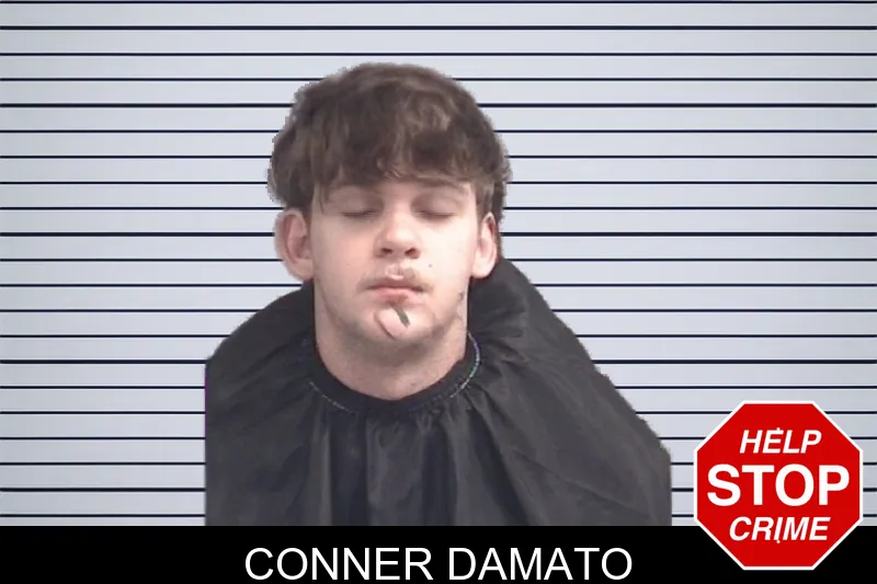 Conner Damato mugshot