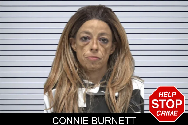 Connie Burnett mugshot